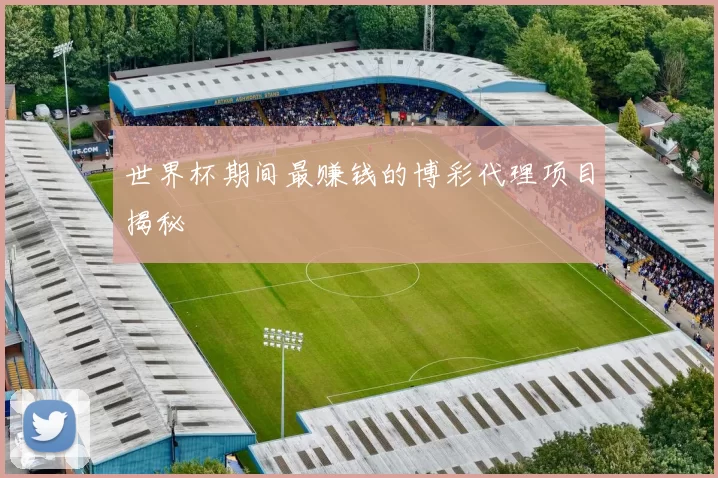 世界杯期间最赚钱的博彩代理项目揭秘