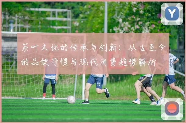 茶叶文化的传承与创新:从古至今的品饮习惯与现代消费趋势解析