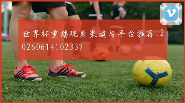 世界杯重播观看渠道与平台推荐_20260614102337