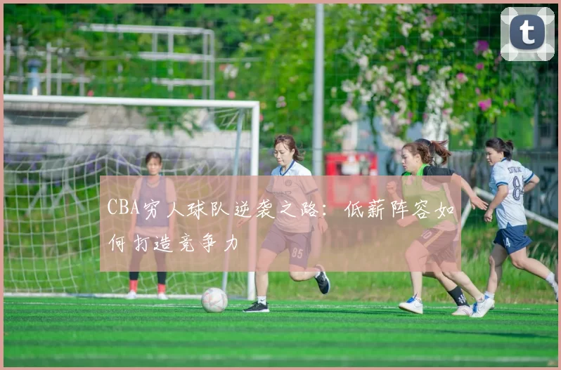 CBA穷人球队逆袭之路：低薪阵容如何打造竞争力