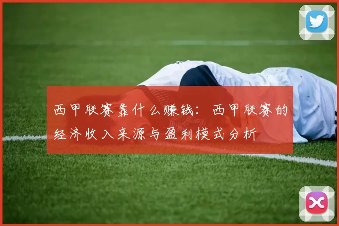 西甲联赛靠什么赚钱:西甲联赛的经济收入来源与盈利模式分析