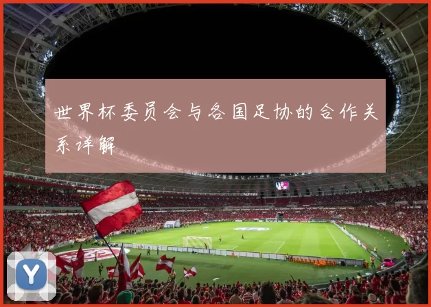 世界杯委员会与各国足协的合作关系详解