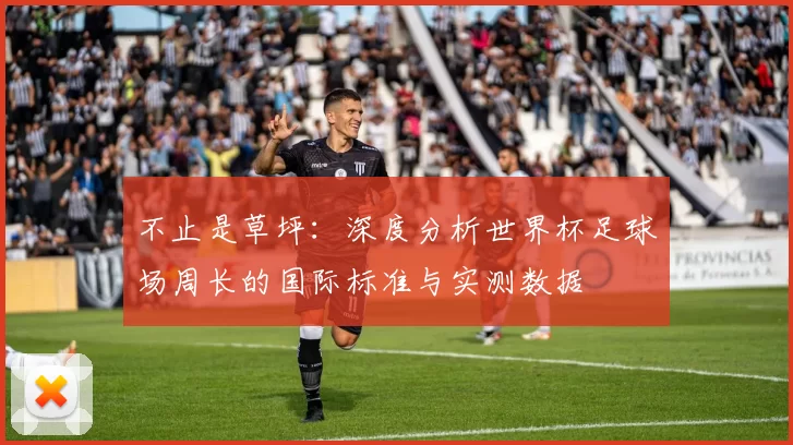 不止是草坪：深度分析世界杯足球场周长的国际标准与实测数据