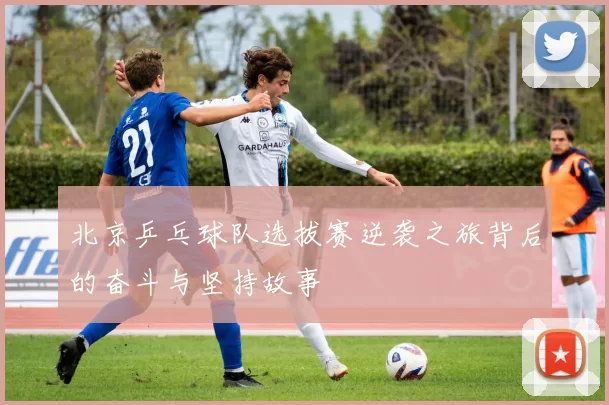 北京乒乓球队选拔赛逆袭之旅背后的奋斗与坚持故事