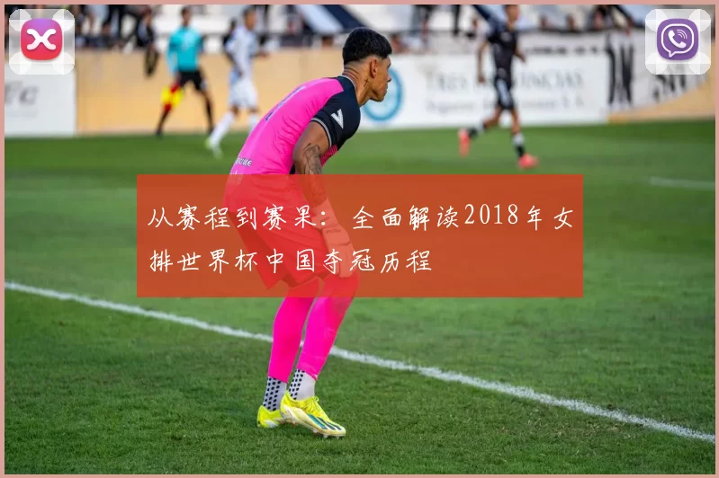 从赛程到赛果：全面解读2018年女排世界杯中国夺冠历程