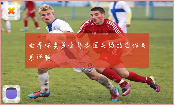 世界杯委员会与各国足协的合作关系详解