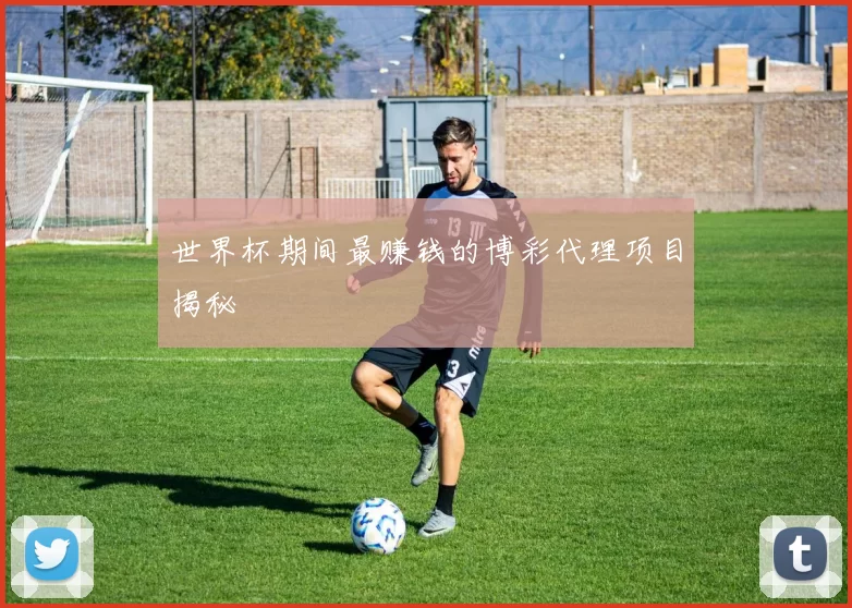 世界杯期间最赚钱的博彩代理项目揭秘