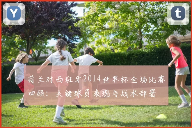 荷兰对西班牙2014世界杯全场比赛回顾:关键球员表现与战术部署