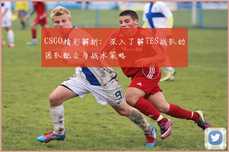 CSGO精彩解析：深入了解TES战队的团队配合与战术策略