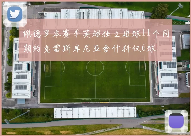 佩德罗本赛季英超独立进球11个同期约克雷斯库尼亚舍什科仅6球