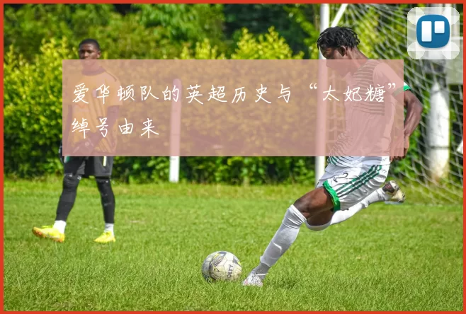 爱华顿队的英超历史与“太妃糖”绰号由来