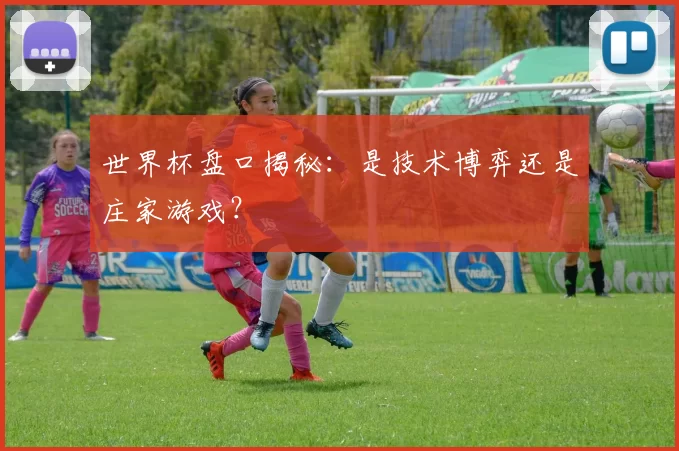世界杯盘口揭秘:是技术博弈还是庄家游戏?