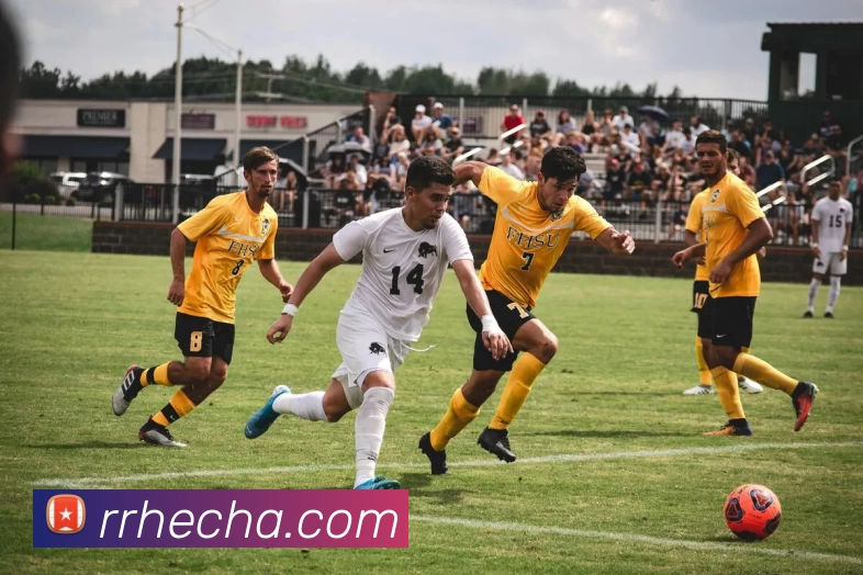 九游体育平台生态图